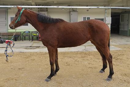 �������� ����