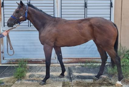 �׸��ҵ��� ����