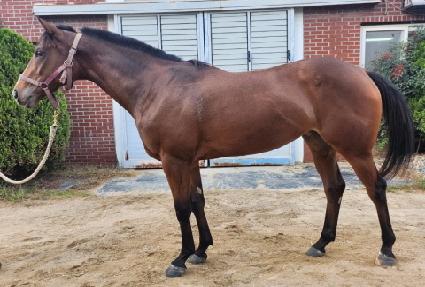 ��糪�̽� ����