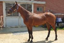 SEOGWI PERFECT picture