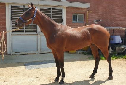 ��������Ʈ ����