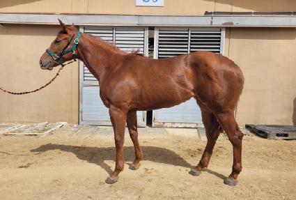 ���Ϲи��� ����