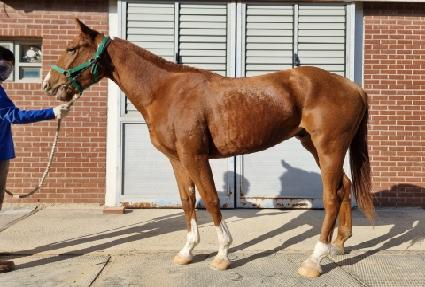 ���ǳ�� ����