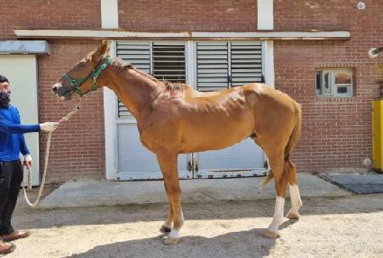 �����Ʈ ����