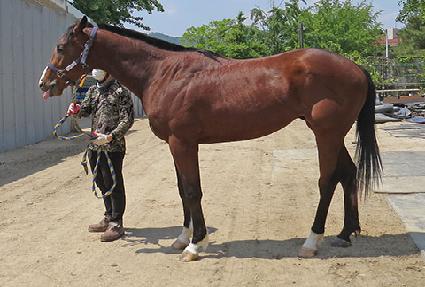 ��Ű�� ����