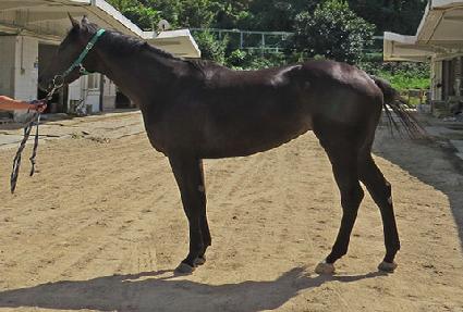 ����ڸ��� ����