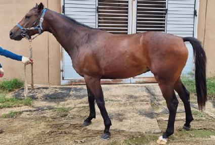 ���ϵ��� ����