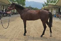 �����ǵ��� (EDENUI DONGJJOK) ����