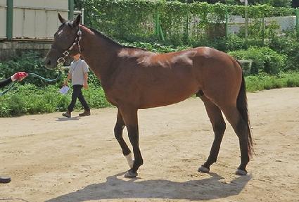 ���緹�̼� ����