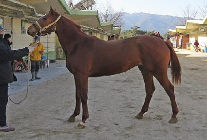 ������ũ ����