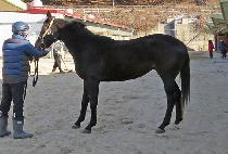 ���������� (BLACK SMILE) ����