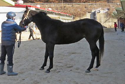 ���������� ����