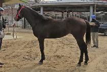 ����Ư�� (DONGJIN TEUKGEUP) ����