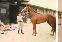 ���� (O BONG) ����