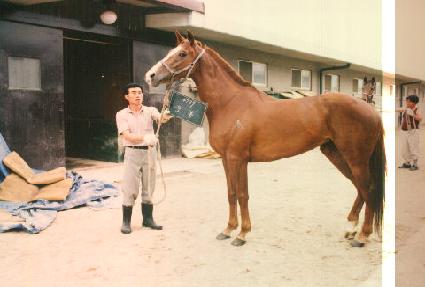 ���� ����