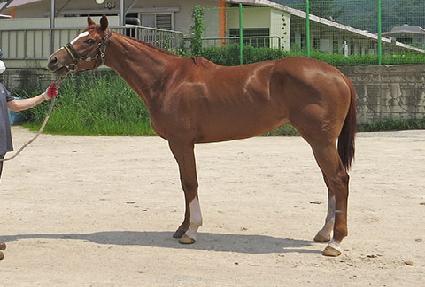 �����÷��� ����