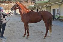 �����ɰ��� (JAJONSIM GONGJU) ����