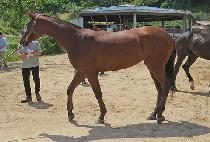 ����Ʈ��� (SMART NOTION) ����