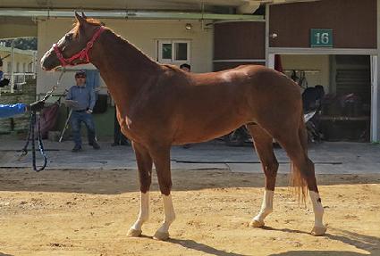 ���ʺ� ����