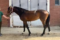 ������� (BEOLGYO SARANG) ����