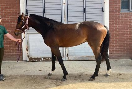 ������� ����