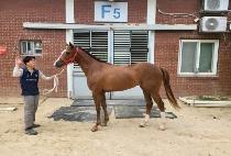 DAESEUNGNIJA picture