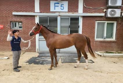 ��¸��� ����