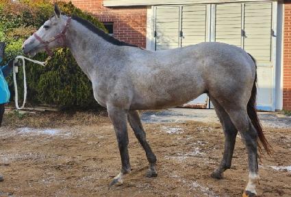 �����ظ� ����