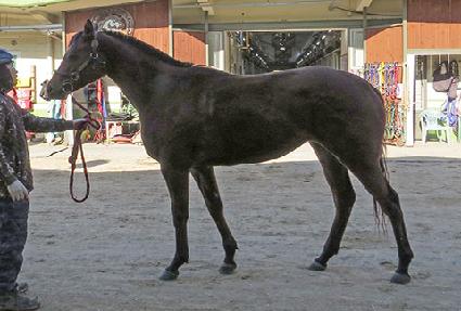 �߷����� ����