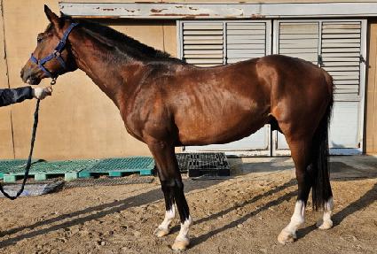 �׹�������� ����