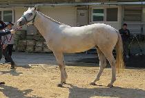 �����ڷ� (YEONGUNG JARYONG) ����