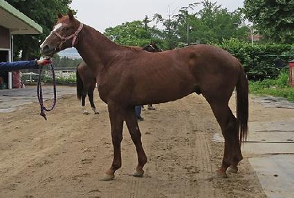 ����ö� ����