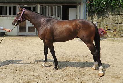 ������ƽ���� ����