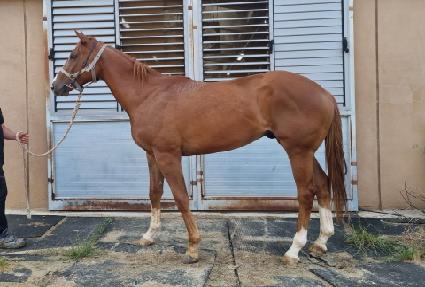 ����巡�� ����