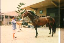 ���� (SOO JOON) ����