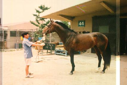 ���� ����