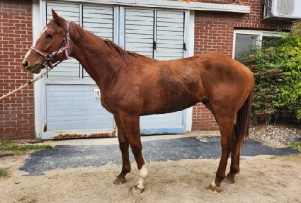 ��ٸ��¾� ����