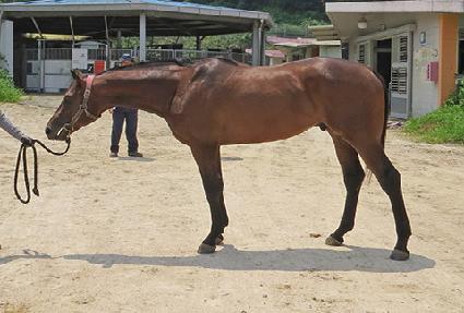 ����Ÿ ����