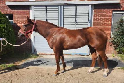 ���ٶ� ����