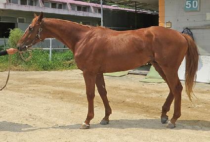 �ο�����Ʈ ����