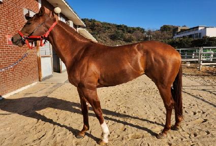 �¸���Ƽ ����