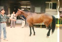 ���ؿ� (BAL HAE WANG) ����