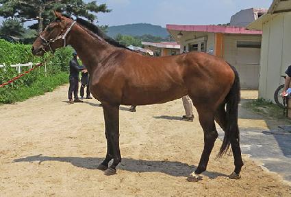 ��Ƽ����Ǯ ����