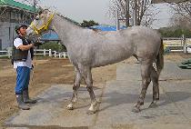 ���罺�� (MARU STORM) ����