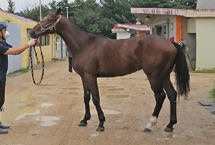 ��ƼǮȭ�� ����