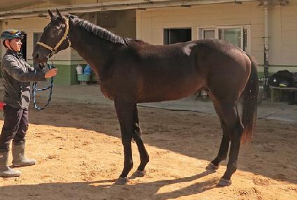 ũ����̱� ����