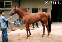 Ư��ȣ (TEUK SOO HO) ����