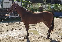 ����Ǯ�ε� (WONDERFUL LORD) ����