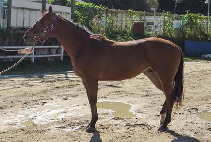 ����Ǯ�ε� ����