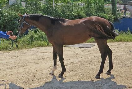 ����ǮŬ���� ����